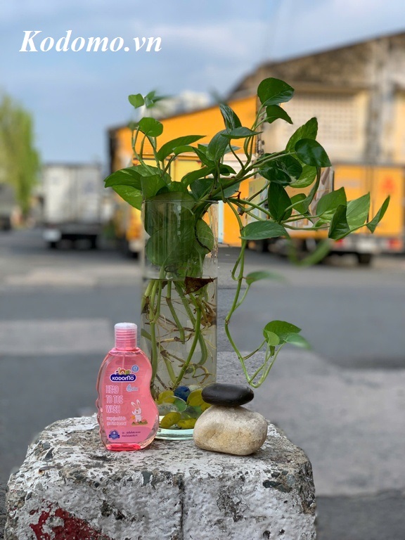 dau-tam-goi-tre-em-kodomo-pink-hanabaki-200-ml