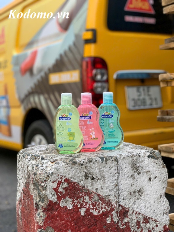 tam-goi-kodomo-co-cay-mat-khong